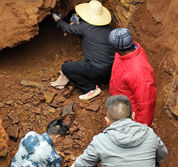 Nestfield Ventures site