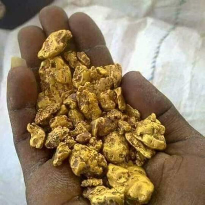 Nestfield Ventures infrastructure