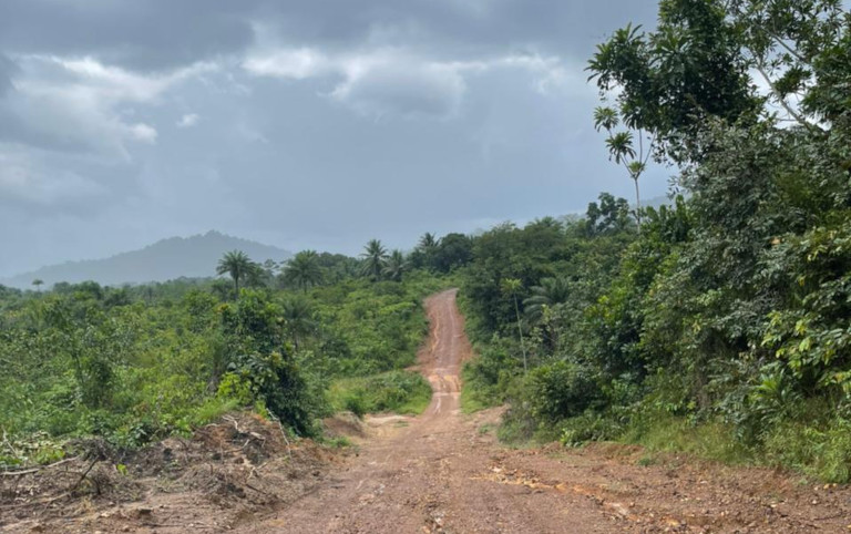 Nestfield Ventures production