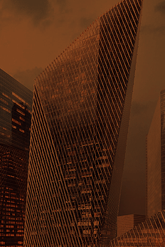 Nestfield Ventures insights